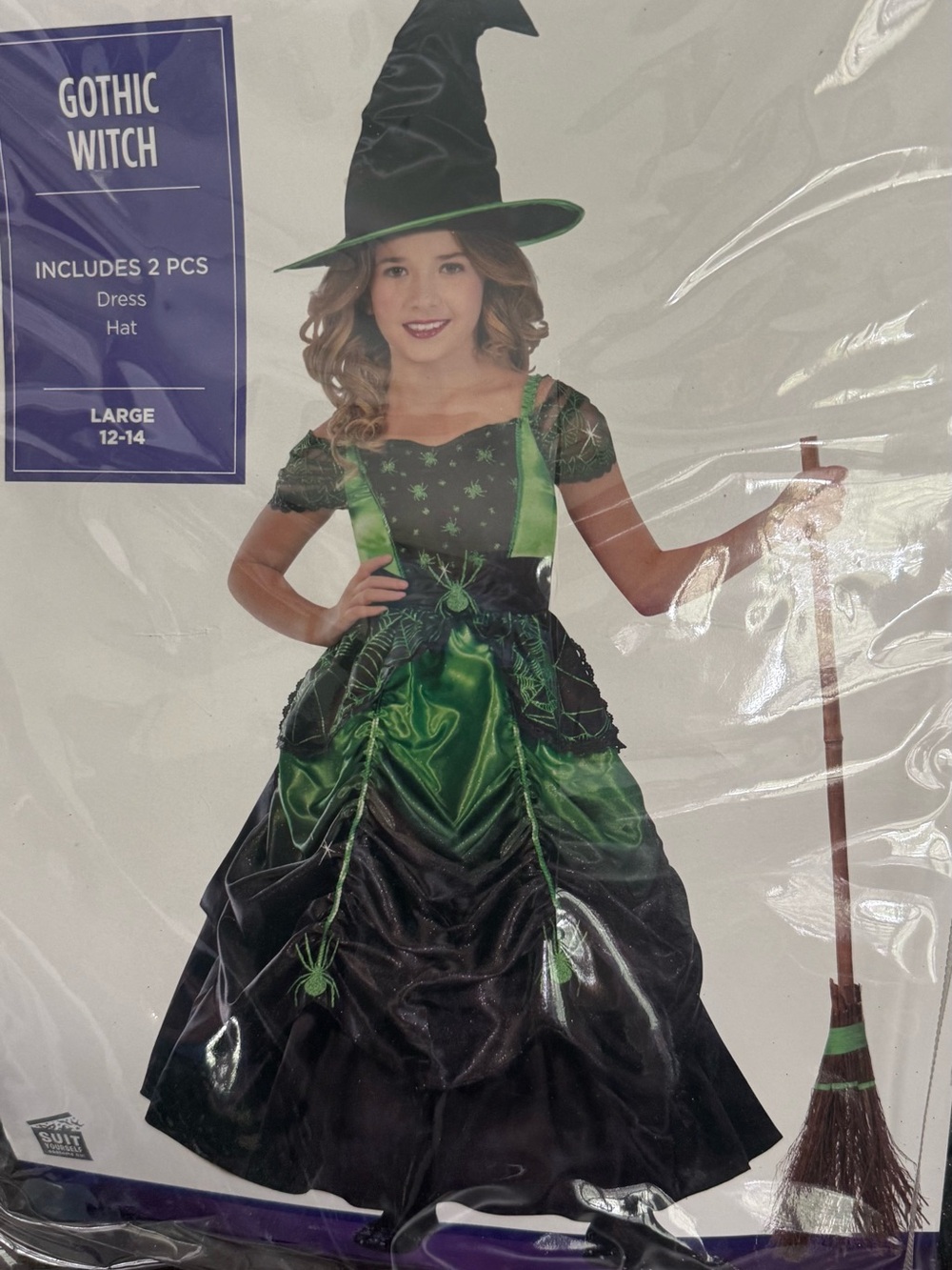 Girls' Gothic Witch Costume Dress & Hat in Black and Green